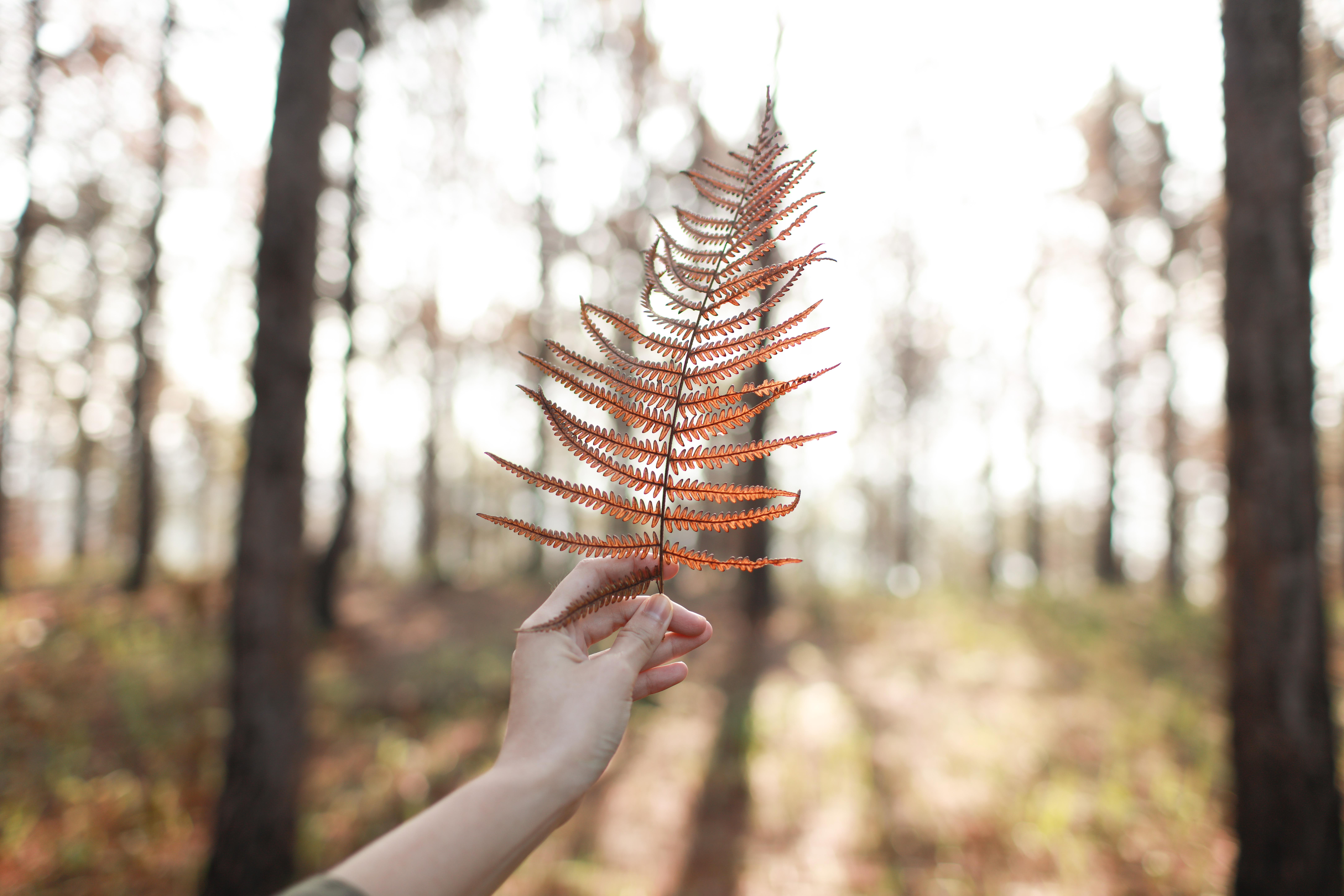 Learning to cope with difficult emotions
